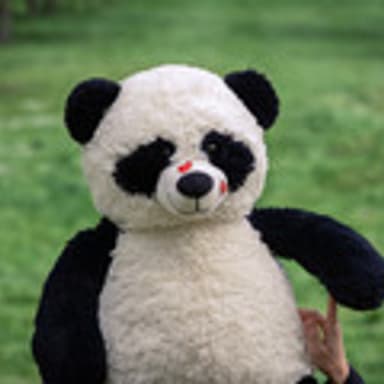 Pipa